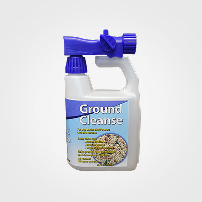 Ground Cleanse